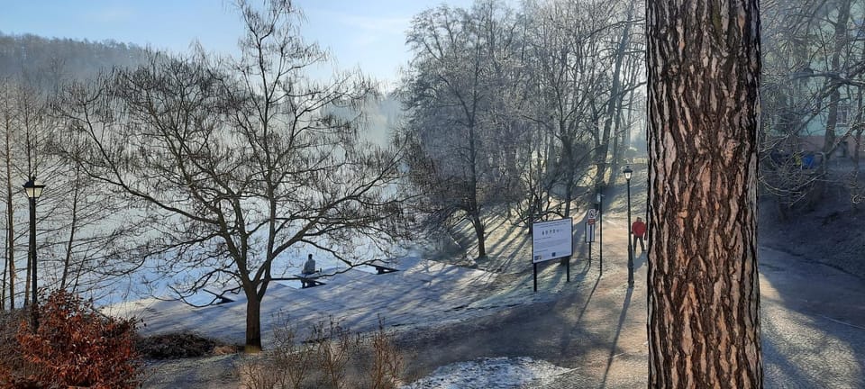 Natural landscape, Winter, View (from property/room), Garden view, Lake view