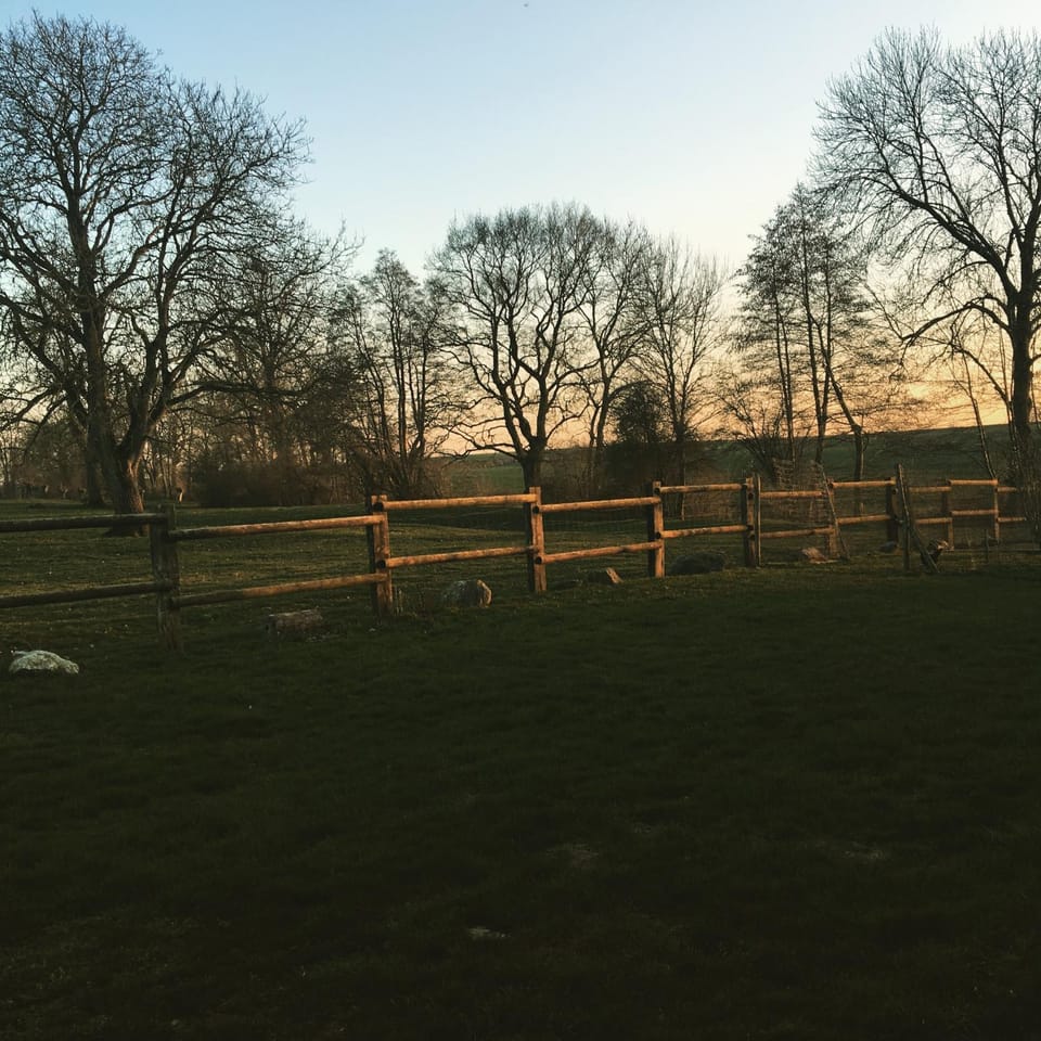 Natural landscape, Garden view, Sunset