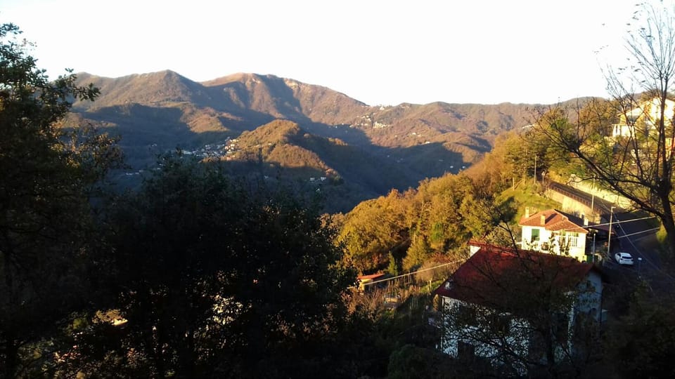 Natural landscape, View (from property/room), Mountain view, Quiet street view
