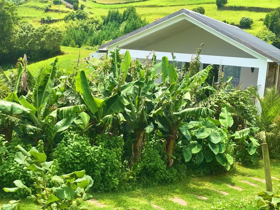 Facade/entrance, Garden, View (from property/room)
