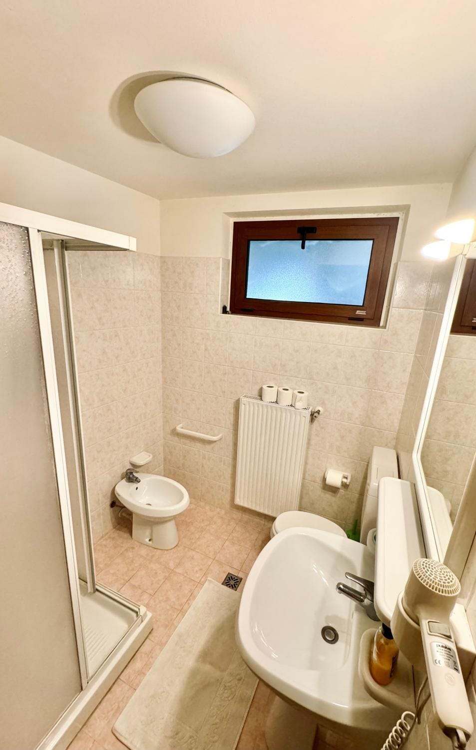 Shower, Toilet, Bathroom, bidet, hair dryier