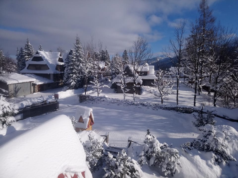Winter, Garden view