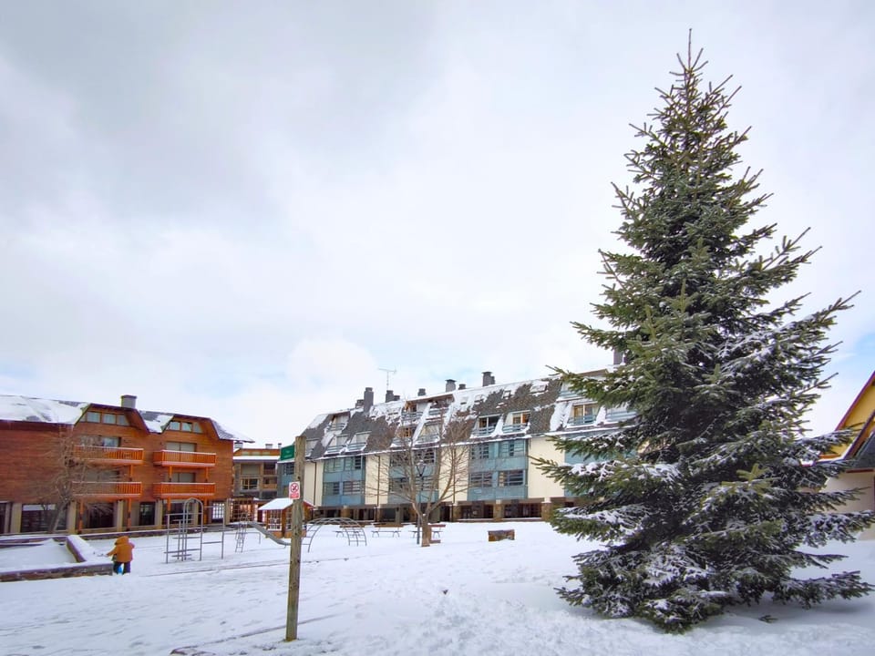 Property building, Winter