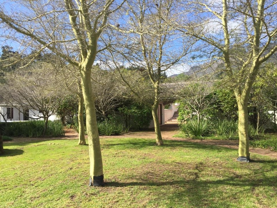 Inner courtyard view