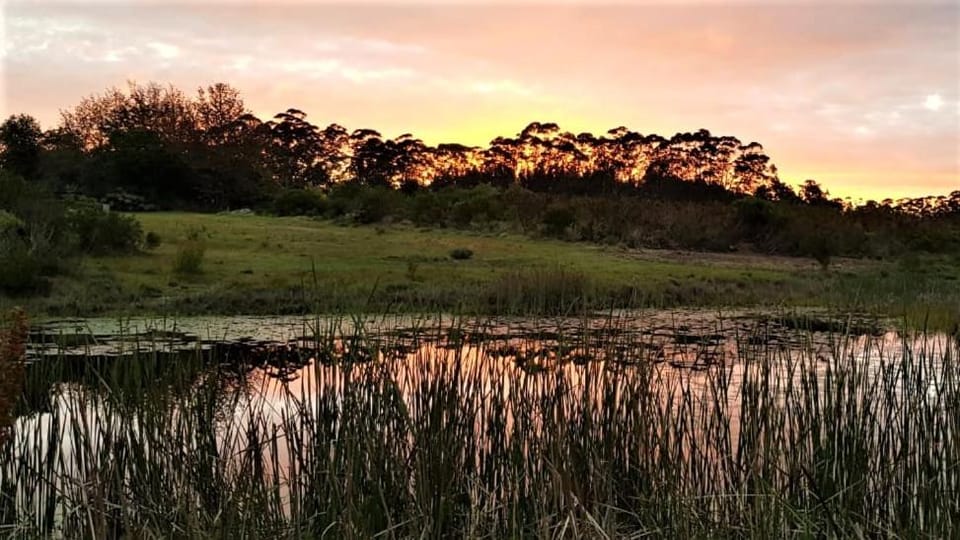 Natural landscape, Hiking, Garden view, Lake view, Sunset