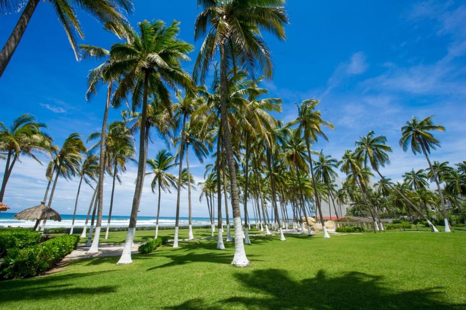Day, Natural landscape, Garden, Beach, Garden view, Sea view