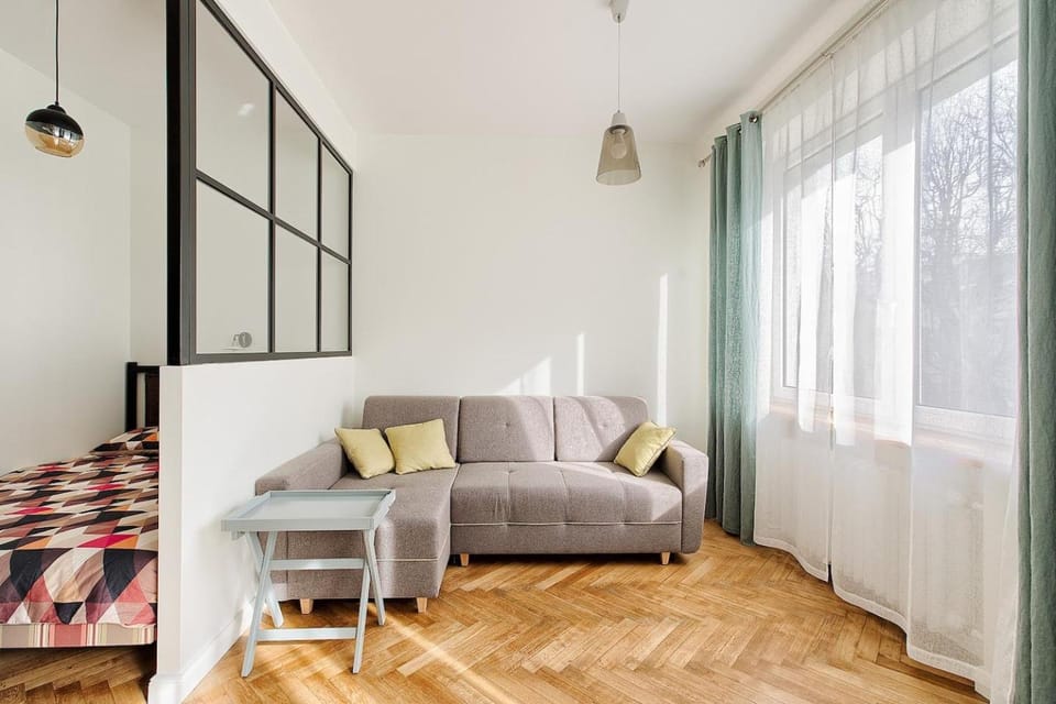 Art & Comfort Home Apartment in Lithuania