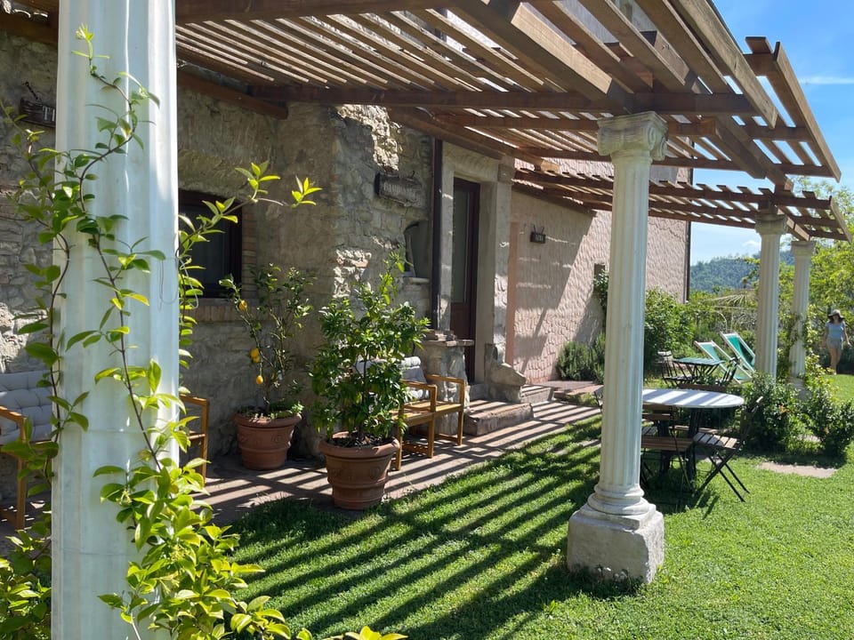 Patio, Garden