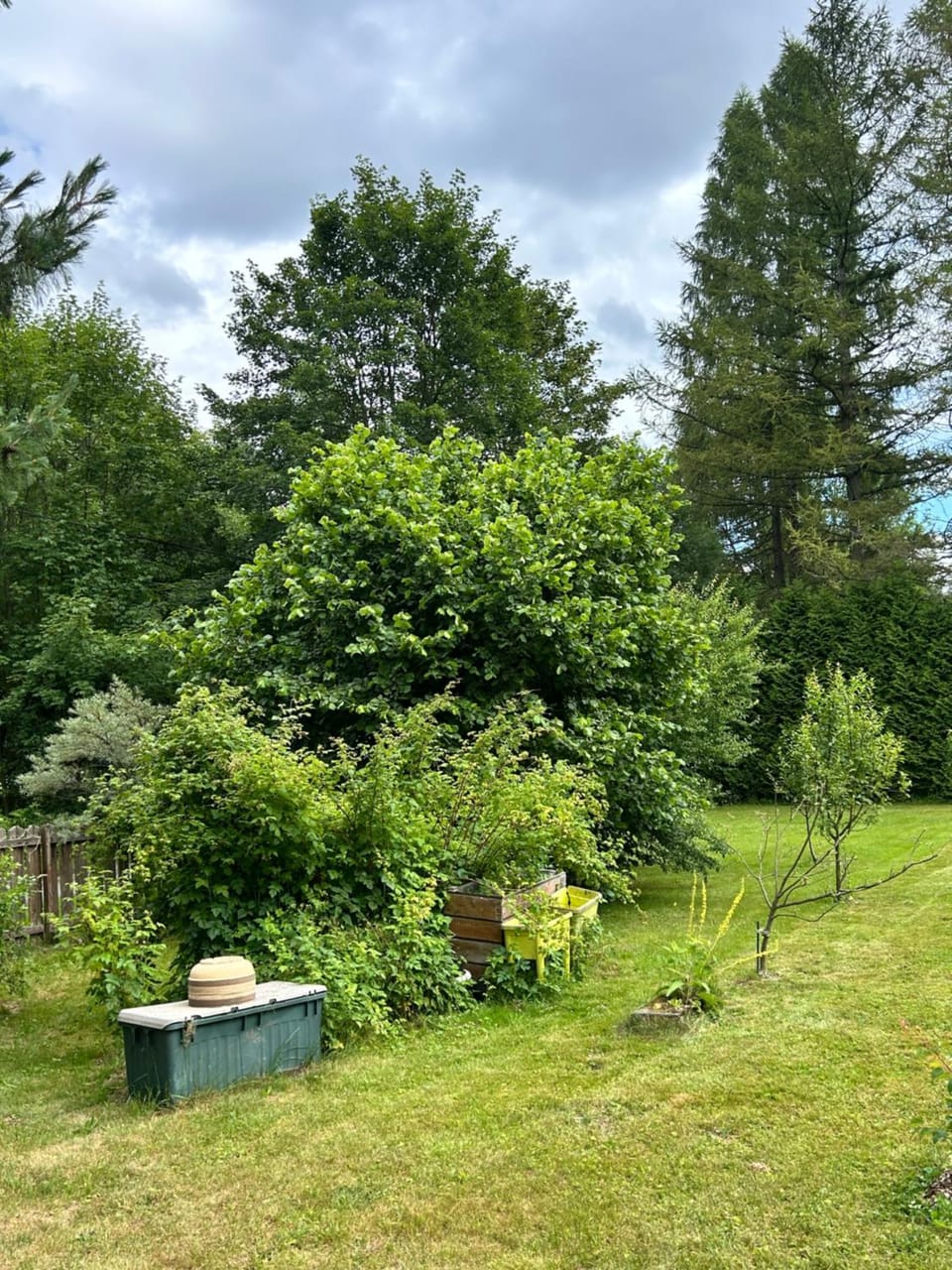 Natural landscape, Garden