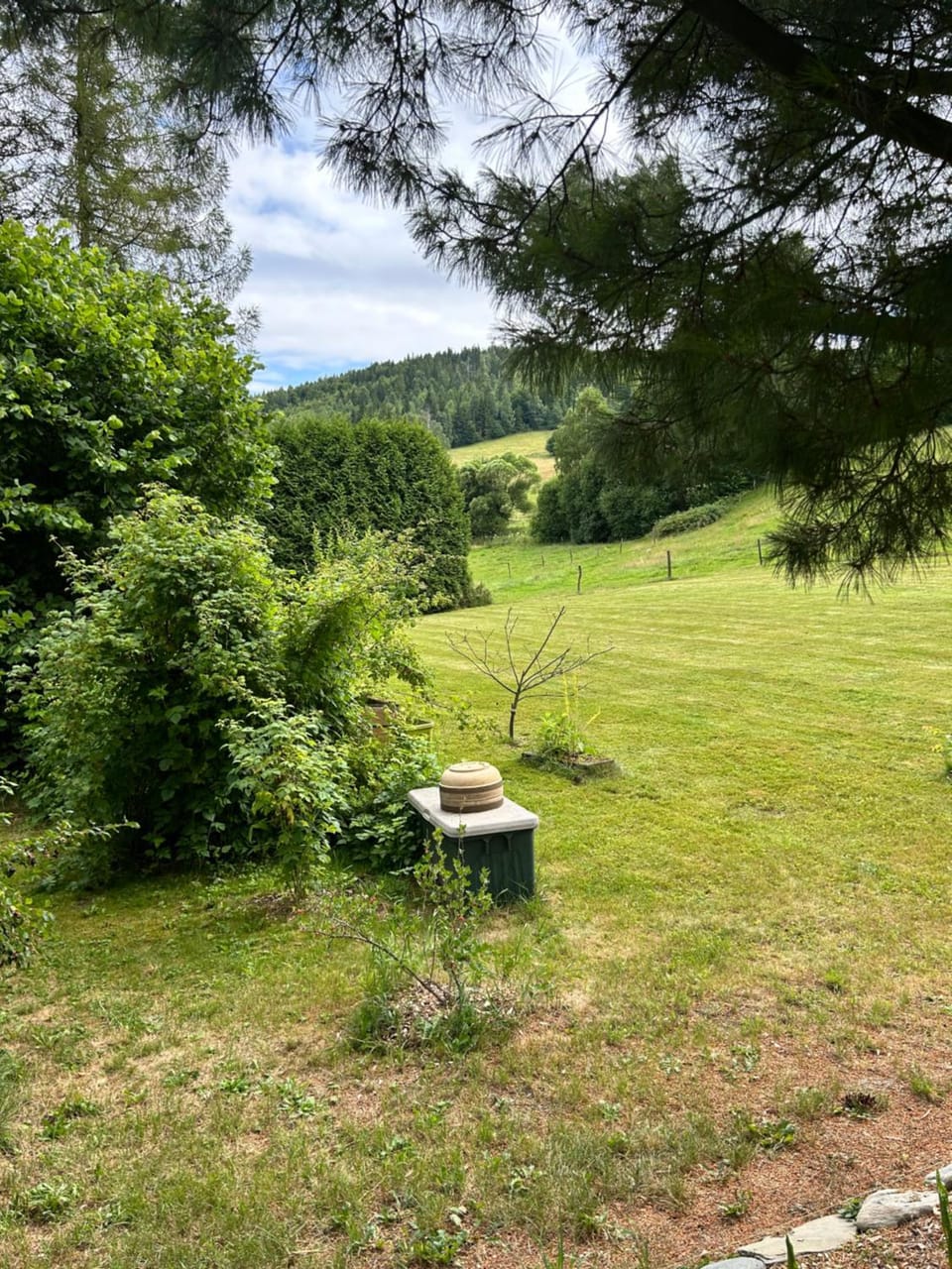 Natural landscape, Garden, View (from property/room)