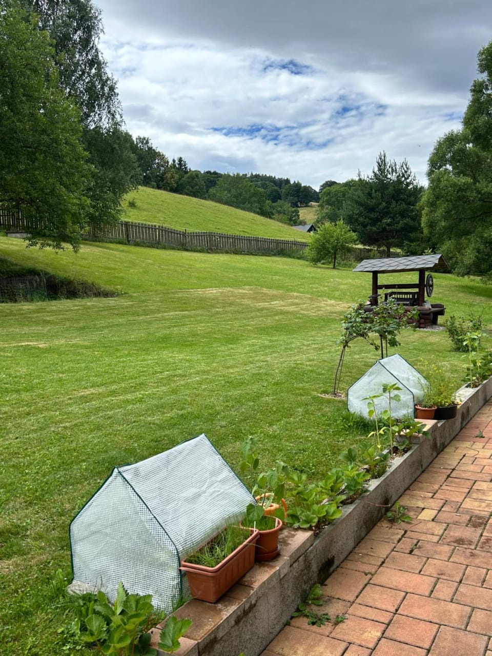 Natural landscape, Garden, View (from property/room)