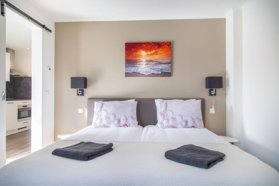 Vrijstaande vakantiewoning Petite Renard House in Zoutelande