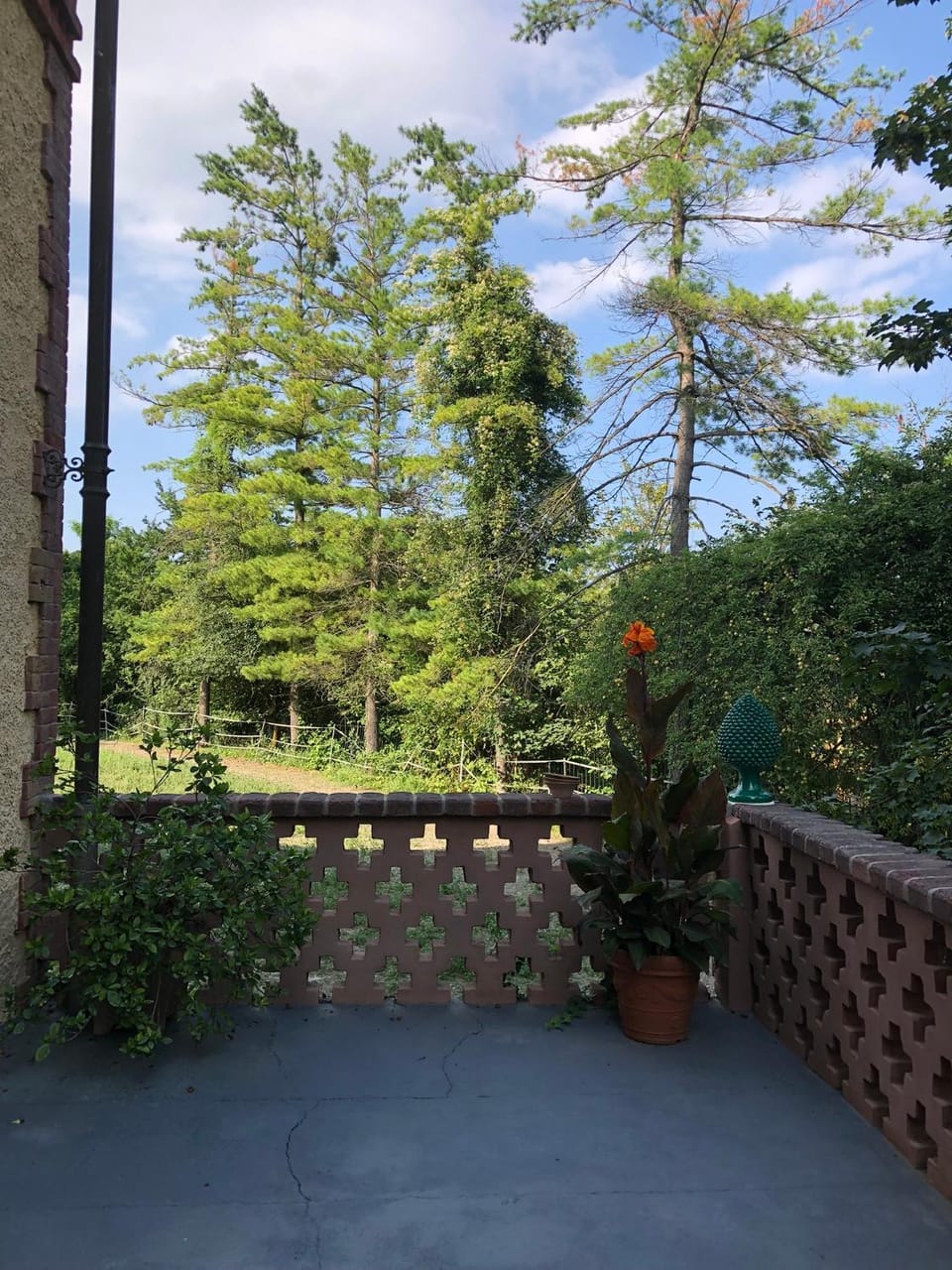 Spring, Day, Garden view