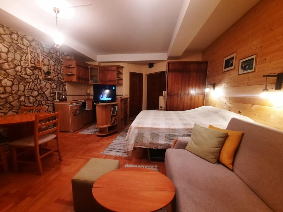 Bed, TV and multimedia, Kitchen or kitchenette, Living room, Photo of the whole room, Seating area, Bedroom, hair dresser