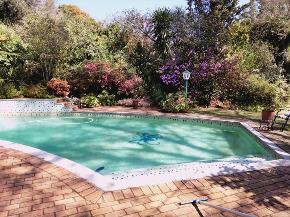 Garden, Garden view, Swimming pool