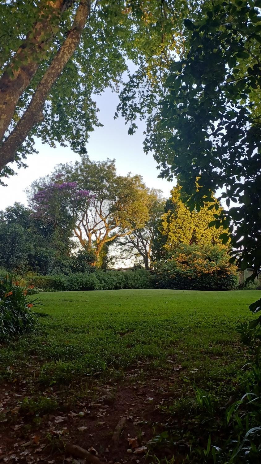 Garden, Garden view