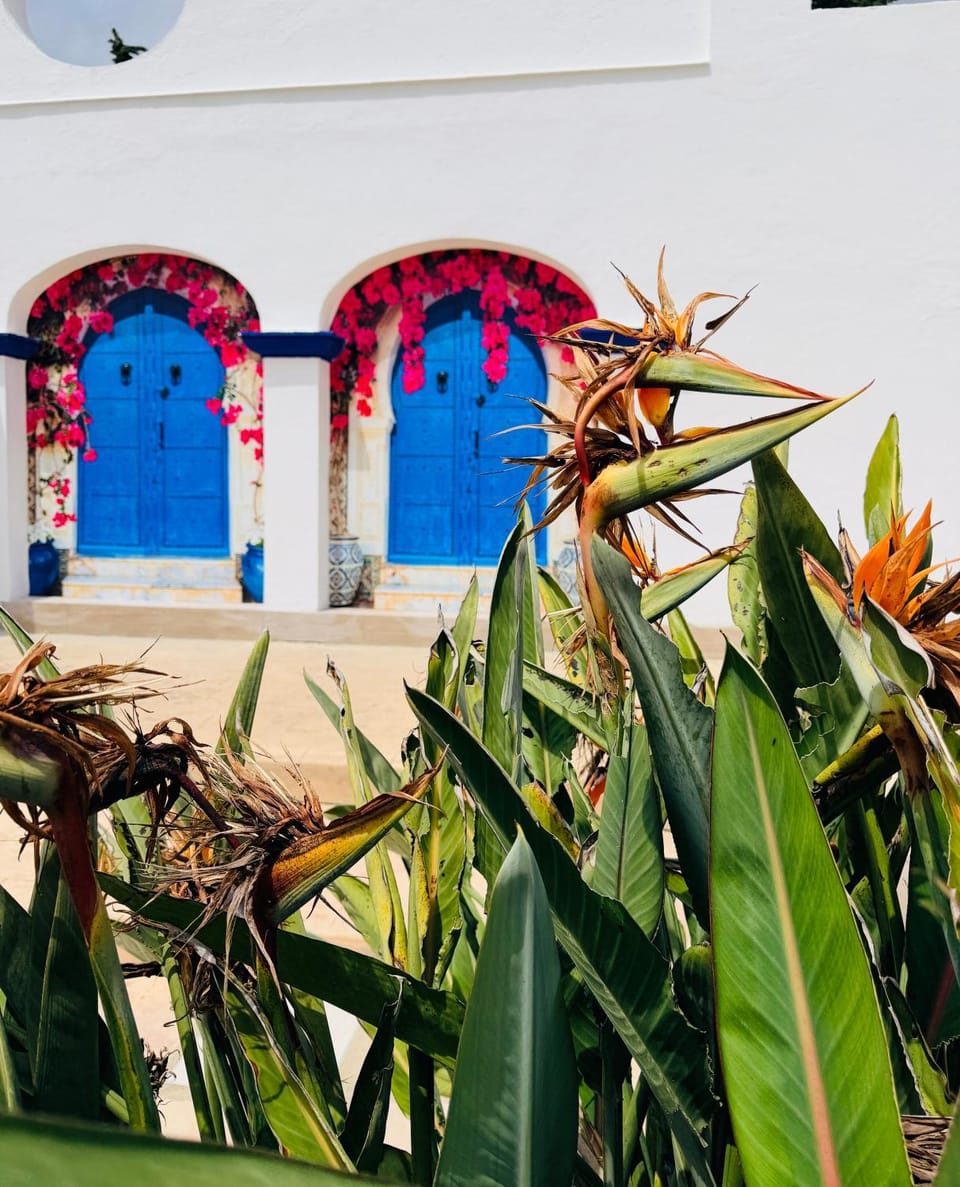 Garden view