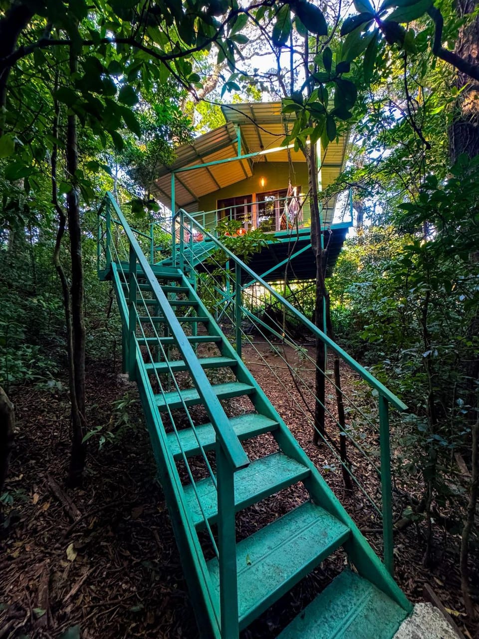 Jungle Living Tree Houses Nature lodge in Monteverde