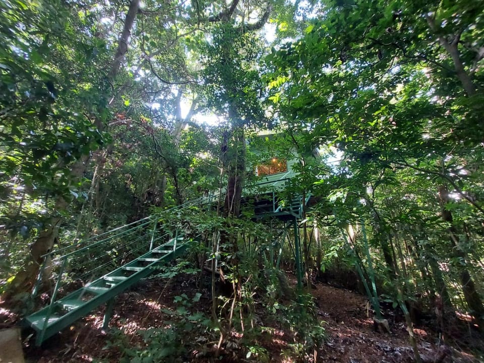 Jungle Living Tree Houses Nature lodge in Monteverde