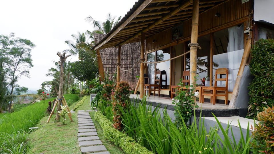 Property building, Patio
