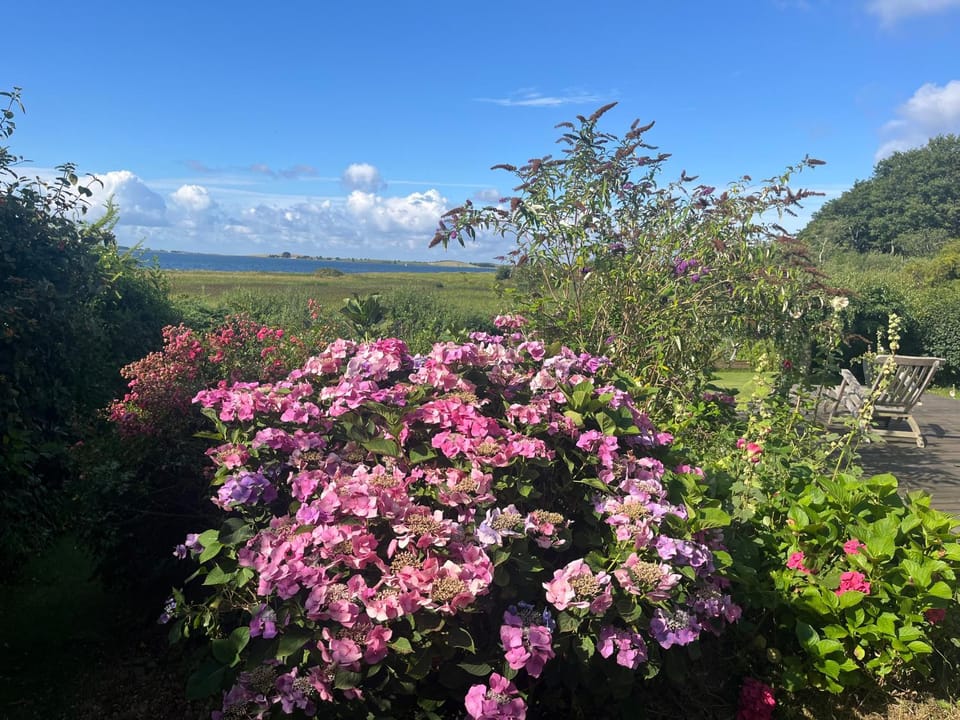 Garden view