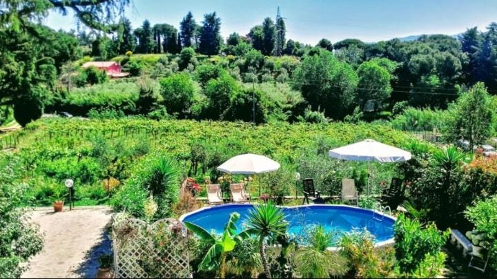Natural landscape, Garden view, Pool view
