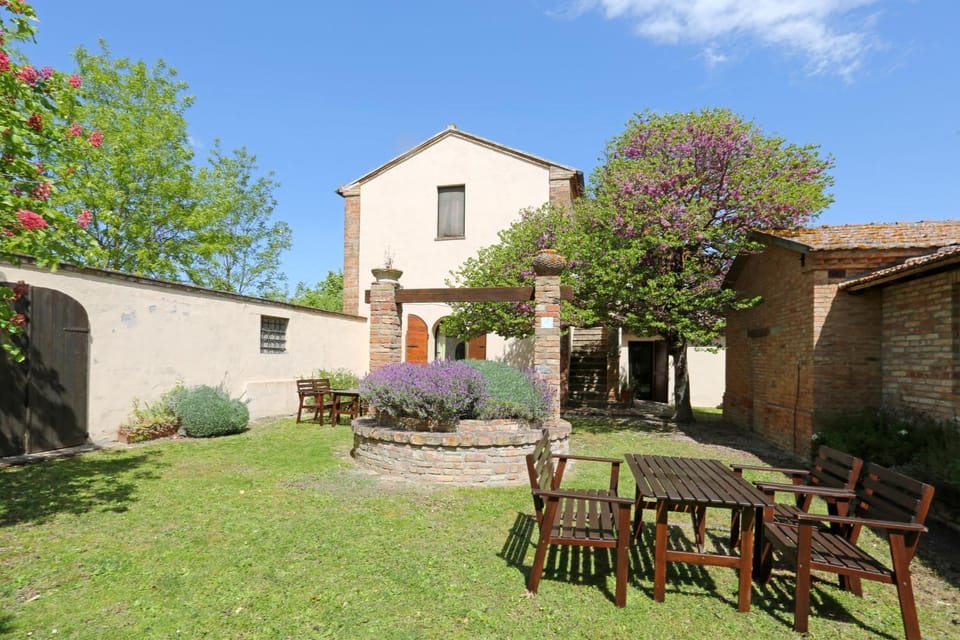 Patio, Garden