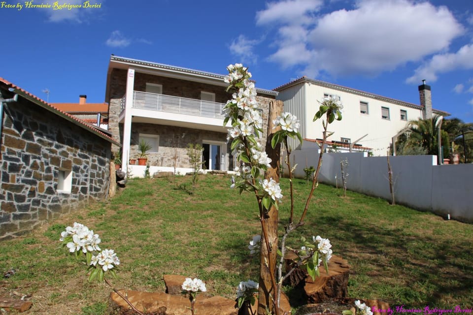 Atlie Moises House in Portugal