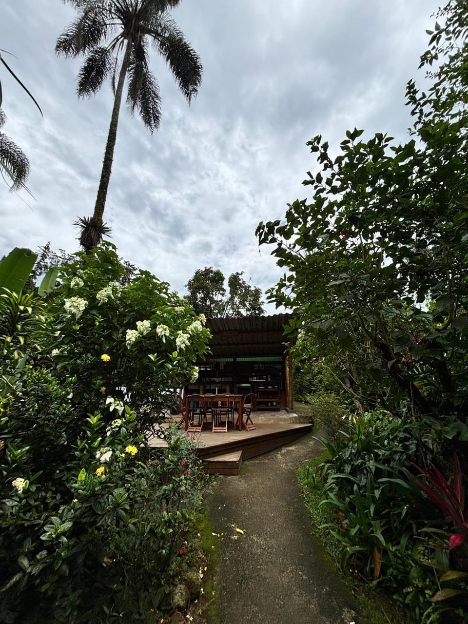 Casa Araribá - Ilha Grande - Vila do Abraão Bed and Breakfast in Angra dos Reis