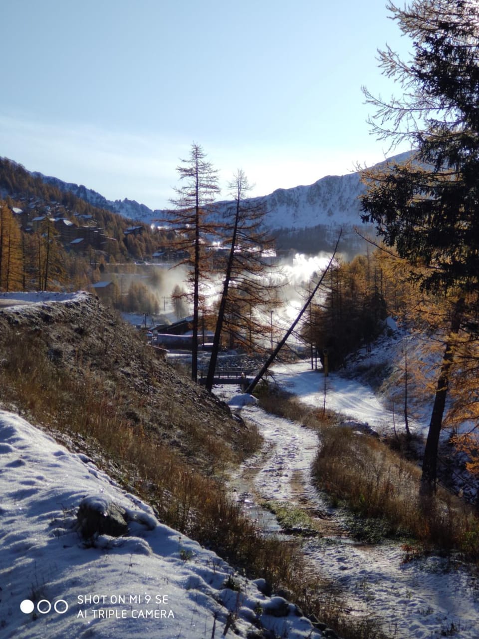 LES CHATAIGNIERS ROUGES Apartment in Isola