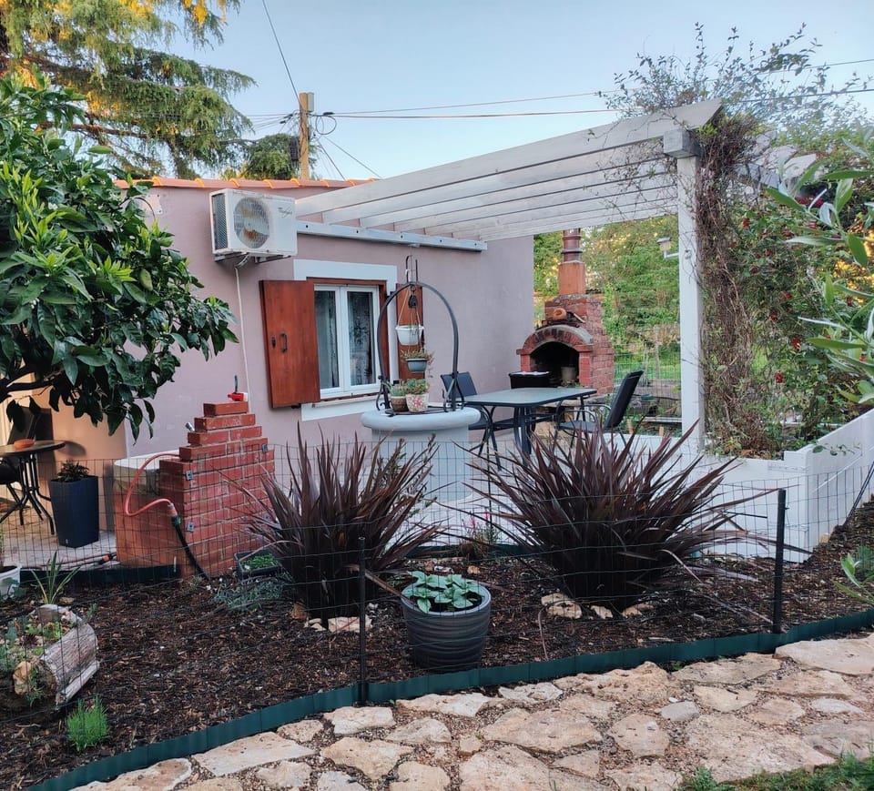 Patio, Day, Garden, Garden view