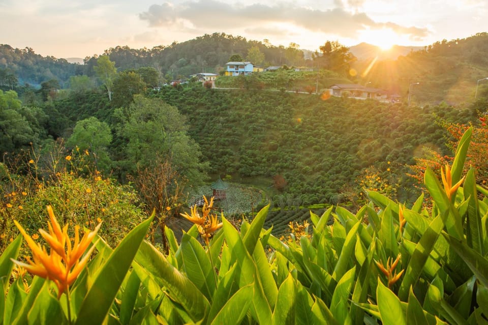 เลาลีฮิลล์รีสอร์ท Laulee hill resort Resort in Thailand