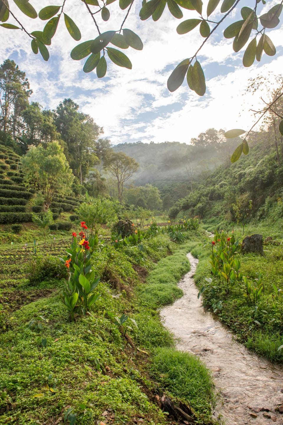 เลาลีฮิลล์รีสอร์ท Laulee hill resort Resort in Thailand