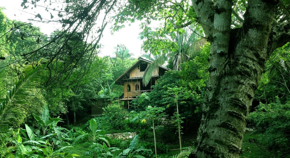 Property building, Natural landscape
