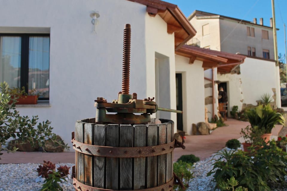 Property building, Decorative detail