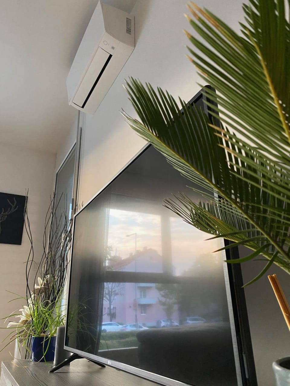 Communal lounge/ TV room, TV and multimedia