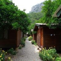 Garden view, Garden view
