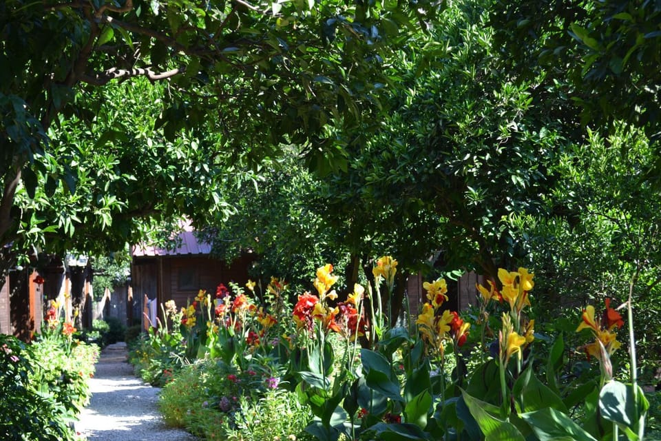 Property building, Garden, Garden view