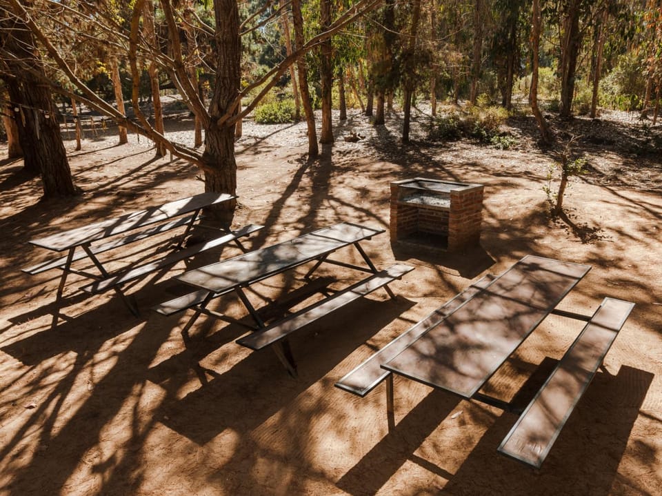 BBQ facilities