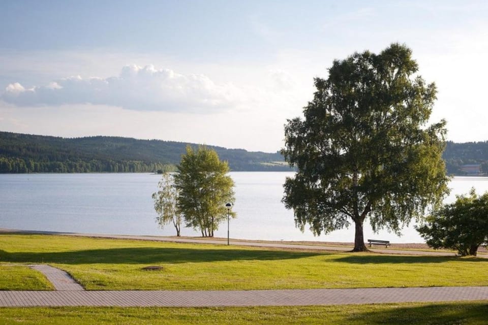 Natural landscape, Garden, Hiking, Lake view