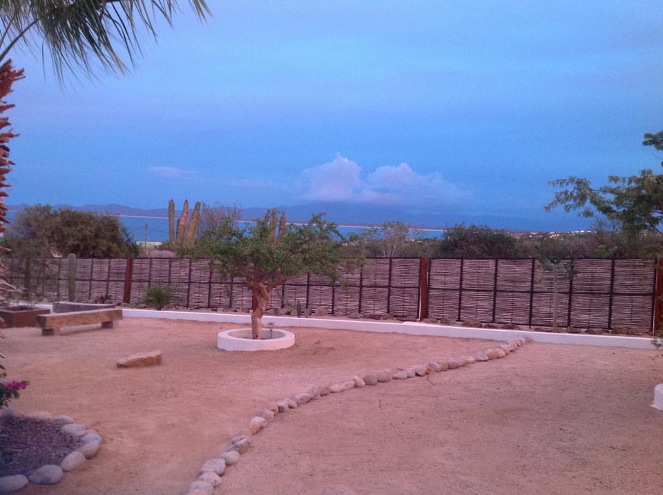 Garden, Sea view