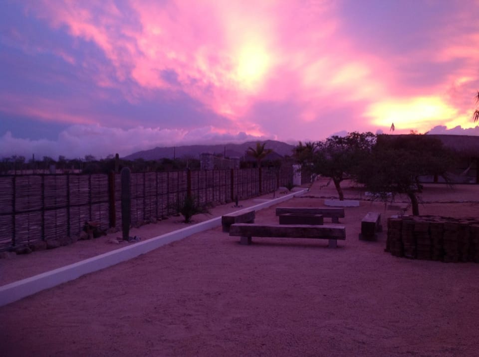 Garden view