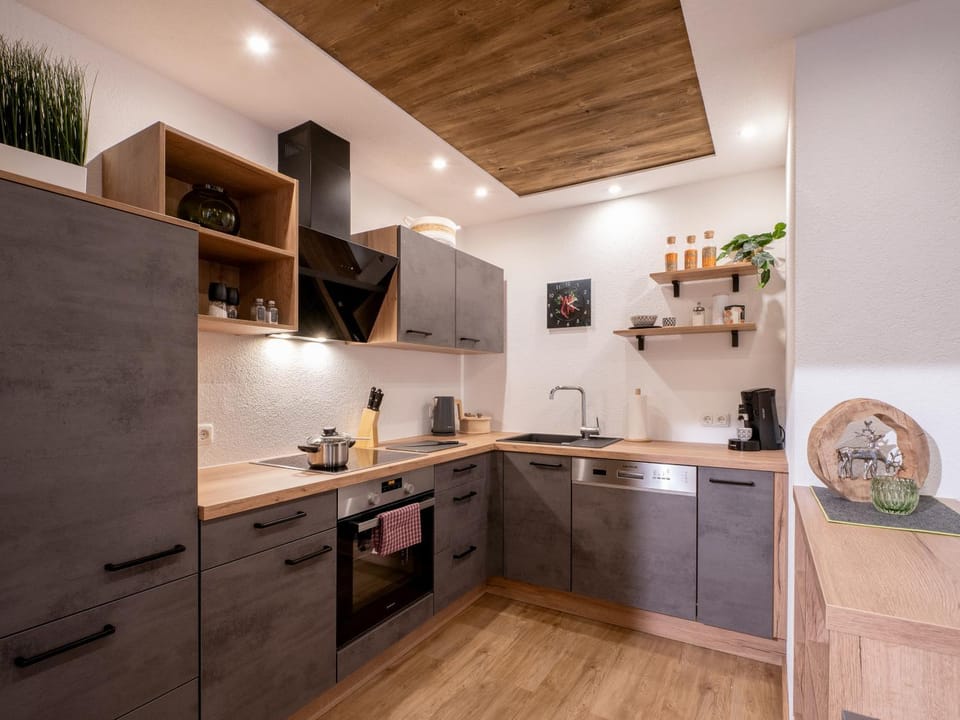 Kitchen or kitchenette, dishwasher, oven, stove