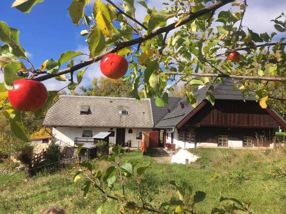 Chalupa U Vincků Chalet in South Bohemian Region