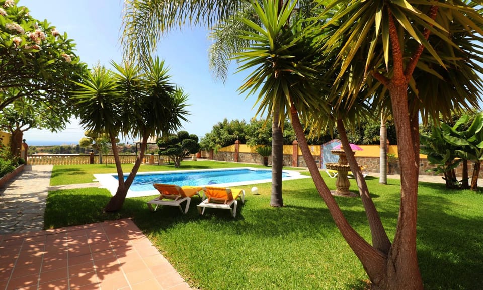 Patio, Garden, Garden view
