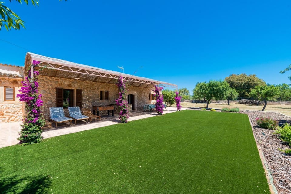 Property building, Garden