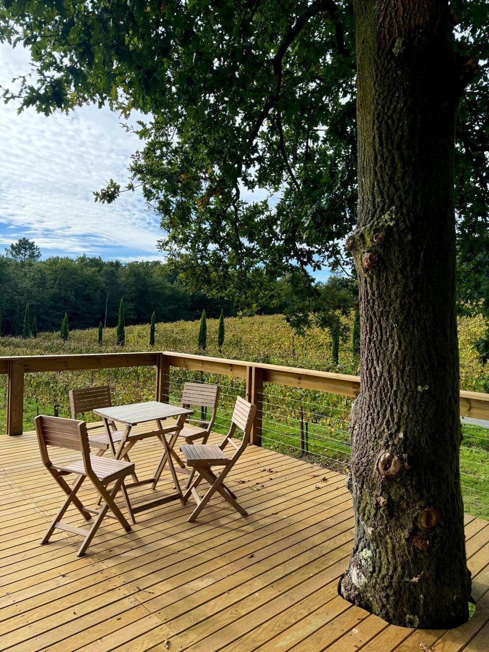 Natural landscape, View (from property/room)