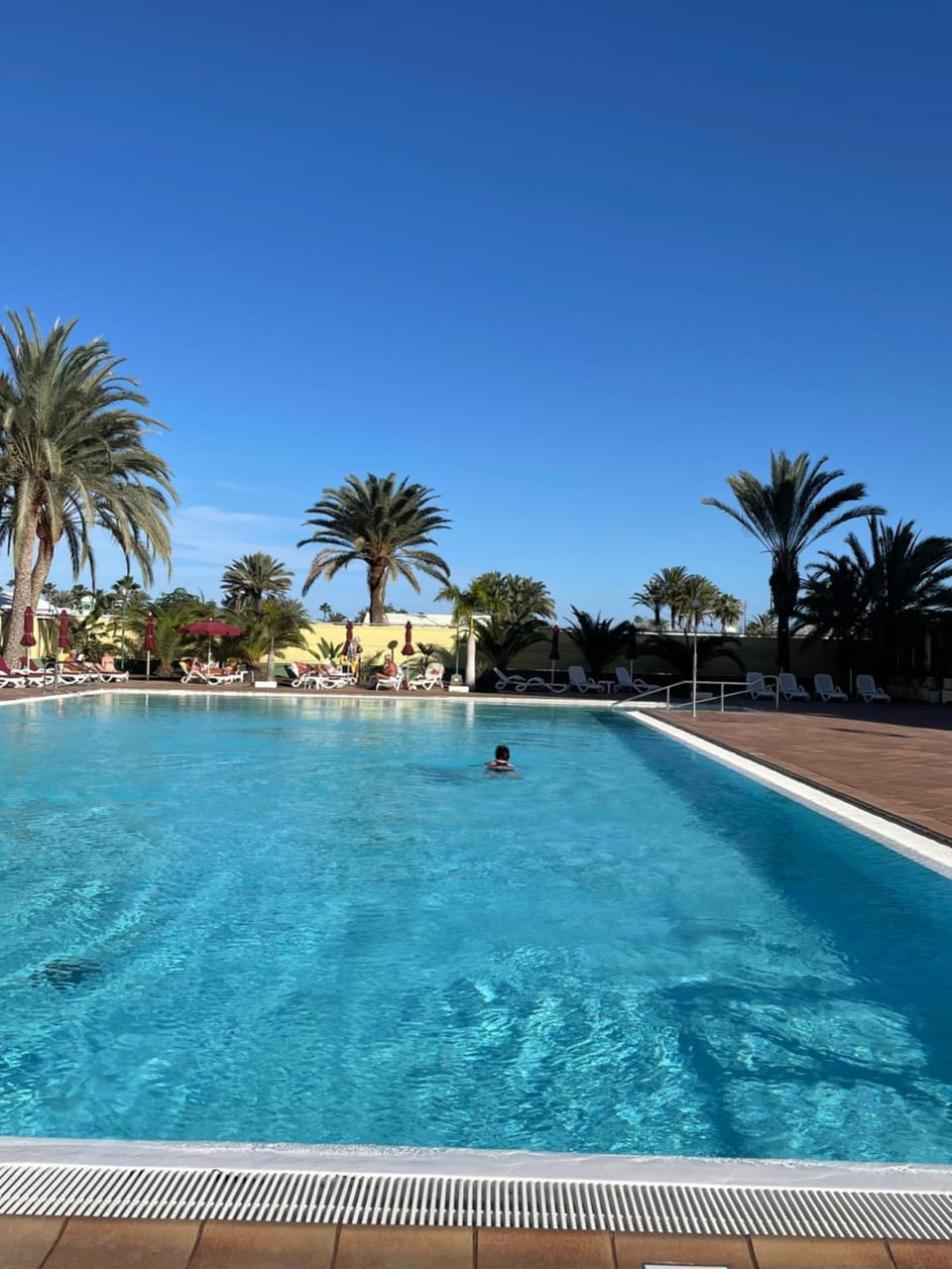 Swimming pool, sunbed