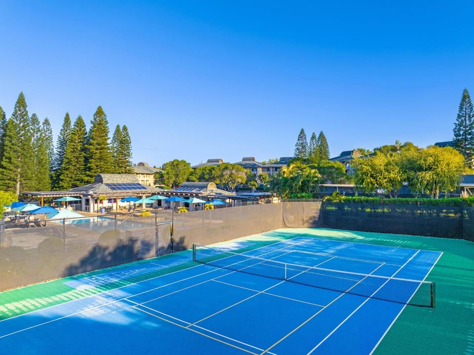 Tennis court