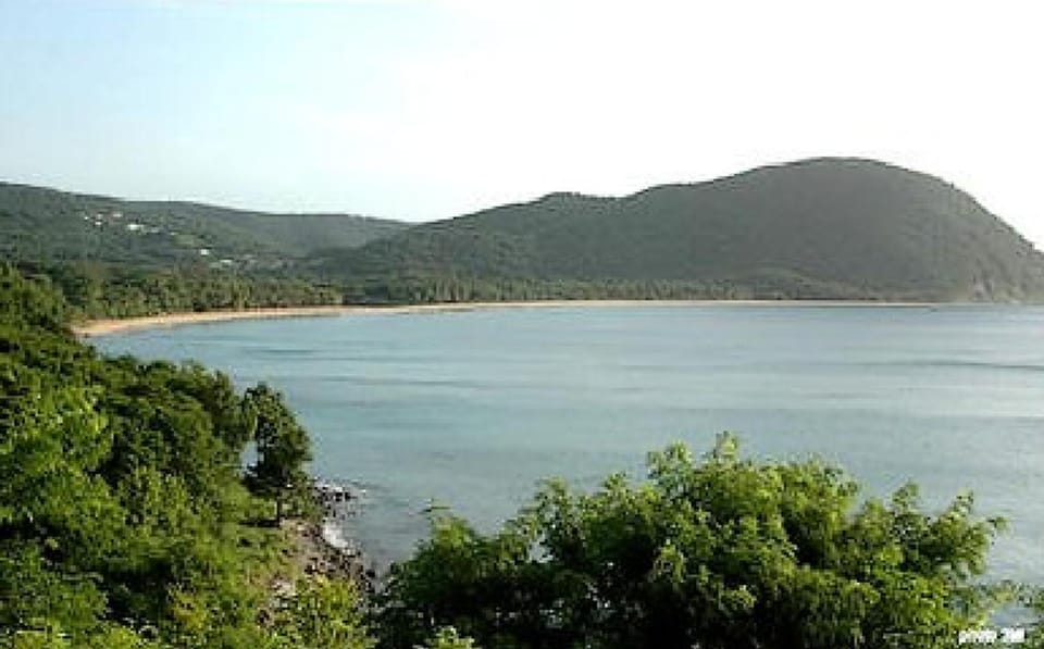 Lake view